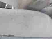 2013 Chevrolet Malibu LS z VIN 1G11A5SA3DF141564, wystawiony jako IAAI lot #42539258 z przebiegiem Nie podano mil oraz . Historia ofert i sprzedaży dostępna na DreamBid. Obrazek 14.