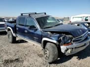 ✅ 2002 Dodge Dakota SLT • VIN: 1B7HG48N22S646167 • Lot: 42716735. Wystawiony na Copart z przebiegiem 184 598 mil. Bezpłatny archiwum sprzedaży aukcyjnych z USA i szczegółowy raport historii pojazdu na DreamBid. Zdjęcie 11.