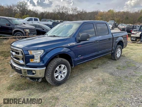 ✅ 2016 Ford F-150 XLT • VIN: 1FTEW1EP4GKF99483 • Lot: 95013785. Listed on Copart with 156,806 mi. Free auction sales archive from the USA and detailed vehicle history report at DreamBid. Image 2.