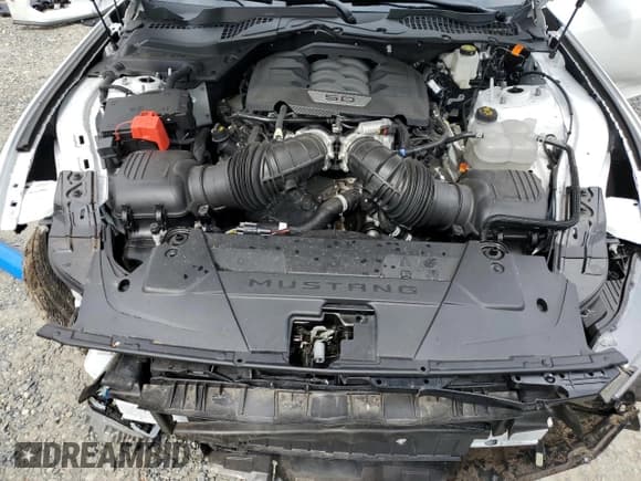 ✅ 2024 Ford Mustang GT Premium • VIN: 1FA6P8CF6R5416581 • Lot: 70562525. Listed on Copart with Not provided. Free auction sales archive from the USA and detailed vehicle history report at DreamBid. Image 11.