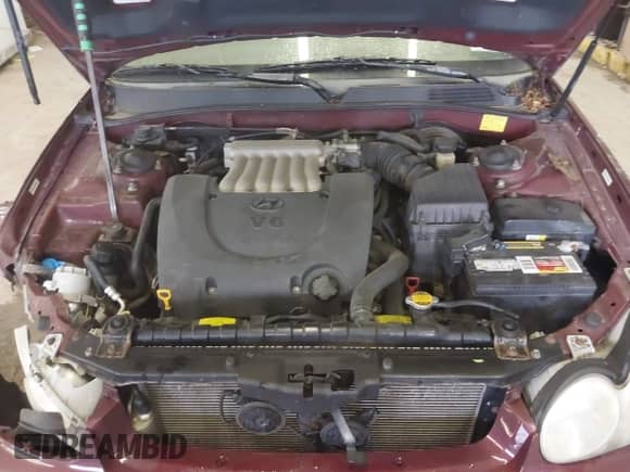 ✅ 2004 Hyundai Sonata GLS • VIN: KMHWF35H84A052612 • Лот: 42215726. Размещён на IAAI с пробегом 118 966 миль миль. Получите бесплатный доступ к архиву аукционных продаж из США и посмотрите подробный отчёт об истории автомобиля на DreamBid. Изображение 10.