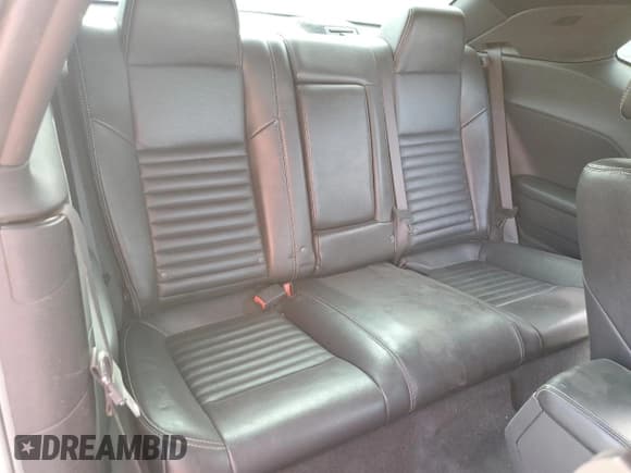 ✅ 2010 Dodge Challenger SE • VIN: 2B3CJ4DVXAH219814 • Lot: 42195015. Wystawiony na Copart z przebiegiem Nie podano. Bezpłatny archiwum sprzedaży aukcyjnych z USA i szczegółowy raport historii pojazdu na DreamBid. Zdjęcie 10.