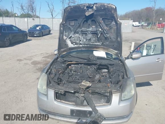 ✅ 2005 Nissan Maxima SE • VIN: 1N4BA41EX5C816488 • Lot: 41976910. Listed on IAAI with Not provided. Free auction sales archive from the USA and detailed vehicle history report at DreamBid. Image 6.