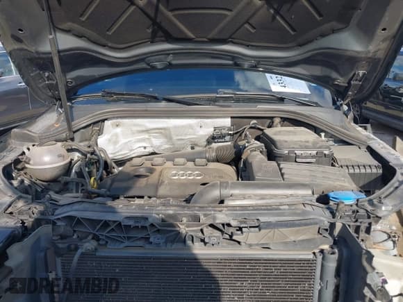 ✅ 2017 Audi Q3 Premium • VIN: WA1BCCFS0HR007638 • Lot: 43323119. Wystawiony na IAAI z przebiegiem 95 933 mil. Bezpłatny archiwum sprzedaży aukcyjnych z USA i szczegółowy raport historii pojazdu na DreamBid. Zdjęcie 10.