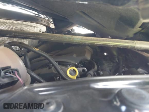 ✅ 2016 Audi Q3 Premium Plus • VIN: WA1BFCFS4GR000147 • Lot: 42689917. Wystawiony na IAAI z przebiegiem 83 429 mil. Bezpłatny archiwum sprzedaży aukcyjnych z USA i szczegółowy raport historii pojazdu na DreamBid. Zdjęcie 10.