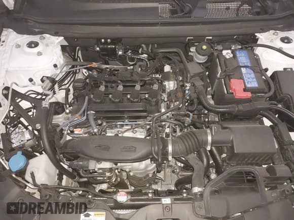 ✅ 2025 Honda Accord SE • VIN: 1HGCY1F48SA044056 • Lot: 43565096. Listed on IAAI with 9,875 mi. Free auction sales archive from the USA and detailed vehicle history report at DreamBid. Image 10.