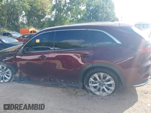 ✅ 2024 Mazda CX-90 Premium Plus • VIN: JM3KKEHD4R1169167 • Lot: 42846214. Listed on IAAI with 15,453 mi. Free auction sales archive from the USA and detailed vehicle history report at DreamBid. Image 14.