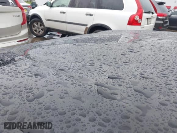 ✅ 2024 Honda Prologue Touring • VIN: 3GPKHWRM6RS515745 • Lot: 41905252. Listed on IAAI with 7,079 mi. Free auction sales archive from the USA and detailed vehicle history report at DreamBid. Image 6.