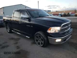 2009 Dodge 1500 SLT с VIN 1D3HV13T19S826607, выставлен на аукционе Copart как лот 80557954 с пробегом 186 865 миль миль и Чистый • Clean title. История ставок и продаж доступна на DreamBid. Изображение 4.