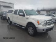 ✅ 2009 Ford F-150 XL • VIN: 1FTPW14V59FB26258 • Lot: 43799073. Listed on IAAI with 155,473 mi. Free auction sales archive from the USA and detailed vehicle history report at DreamBid. Image 1.