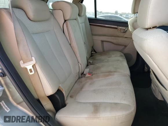 ✅ 2009 Hyundai Santa Fe GLS • VIN: 5NMSG13D19H262955 • Lot: 82488024. Listed on Copart with 244,492 mi. Free auction sales archive from the USA and detailed vehicle history report at DreamBid. Image 11.