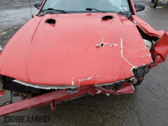 ✅ 1997 Ford Mustang Cobra • VIN: 1FALP47V1VF181752 • Lot: 50330625. Wystawiony na Copart z przebiegiem 293 125 mil. Bezpłatny archiwum sprzedaży aukcyjnych z USA i szczegółowy raport historii pojazdu na DreamBid. Zdjęcie 11.