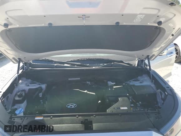 ✅ 2022 Hyundai Palisade SEL • VIN: KM8R44HE3NU380272 • Лот: 82915654. Опубликован ранее на Copart с пробегом 12 021 миль. Бесплатный доступ к архиву аукционных продаж из США и подробный отчёт об истории автомобиля на DreamBid. Изображение 12.