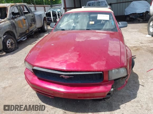 ✅ 2005 Ford Mustang Deluxe • VIN: 1ZVFT84N655253370 • Lot: 42228590. Listed on IAAI with 173,753 mi. Free auction sales archive from the USA and detailed vehicle history report at DreamBid. Image 13.