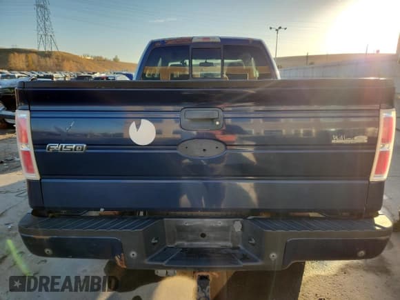 ✅ 2009 Ford F-150 XL • VIN: 1FTPX14V79KC91541 • Lot: 91660045. Wystawiony na Copart z przebiegiem 176 125 mil. Bezpłatny archiwum sprzedaży aukcyjnych z USA i szczegółowy raport historii pojazdu na DreamBid. Zdjęcie 6.