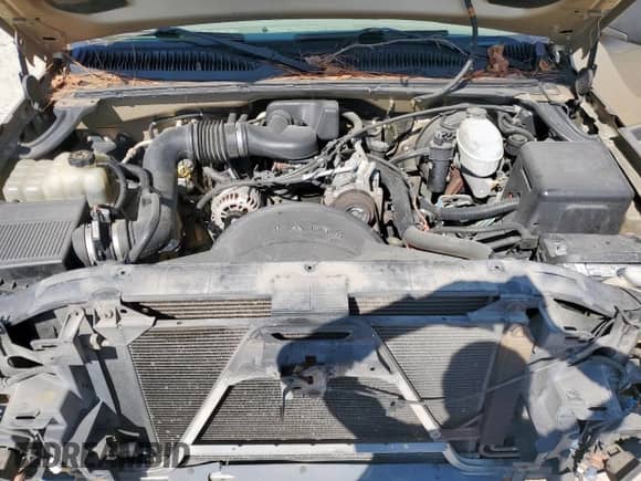 2004 Chevrolet Silverado 1500 Work Truck z VIN 1GCEC14X54Z118864, wystawiony jako Copart lot #81513555 z przebiegiem 186 665 mil mil oraz Szkoda całkowita • Salvage title. Historia ofert i sprzedaży dostępna na DreamBid. Obrazek 11.