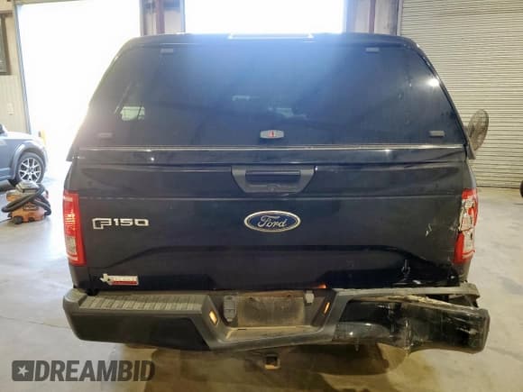 ✅ 2015 Ford F-150 XLT • VIN: 1FTEW1EF5FKE15335 • Лот: 91497115. Опубликован ранее на Copart с пробегом 123 252 миль. Бесплатный доступ к архиву аукционных продаж из США и подробный отчёт об истории автомобиля на DreamBid. Изображение 6.