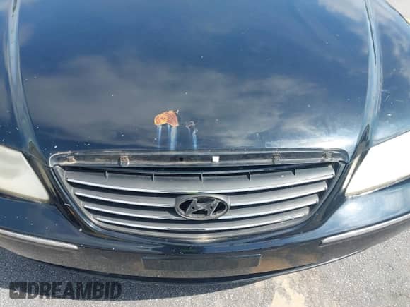 2007 Hyundai Azera SE с VIN KMHFC46F77A182333, выставлен на аукционе IAAI как лот 42380216 с пробегом 227 553 миль миль и . История ставок и продаж доступна на DreamBid. Изображение 13.