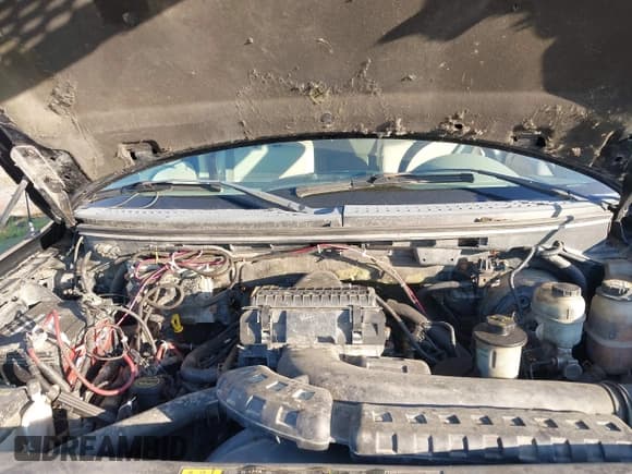 ✅ 2004 Ford F-150 XLT • VIN: 1FTPX14584NA70537 • Lot: 42342109. Listed on IAAI with 254,039 mi. Free auction sales archive from the USA and detailed vehicle history report at DreamBid. Image 10.