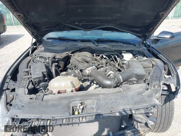 ✅ 2016 Ford Mustang V6 • VIN: 1FA6P8AM7G5273624 • Lot: 43361053. Listed on IAAI with 98,205 mi. Free auction sales archive from the USA and detailed vehicle history report at DreamBid. Image 10.