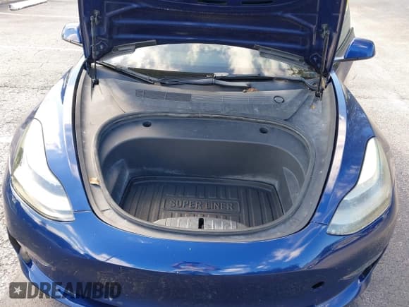 ✅ 2022 Tesla Model 3 • VIN: 5YJ3E1EA7NF189941 • Lot: 43455997. Wystawiony na IAAI z przebiegiem 30 876 mil. Bezpłatny archiwum sprzedaży aukcyjnych z USA i szczegółowy raport historii pojazdu na DreamBid. Zdjęcie 10.