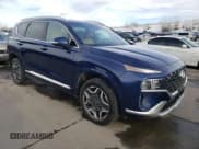 ✅ 2021 Hyundai Santa Fe Calligraphy • VIN: 5NMS5DAL9MH316061 • Lot: 41518624. Wystawiony na Copart z przebiegiem 50 857 mil. Bezpłatny archiwum sprzedaży aukcyjnych z USA i szczegółowy raport historii pojazdu na DreamBid. Zdjęcie 4.