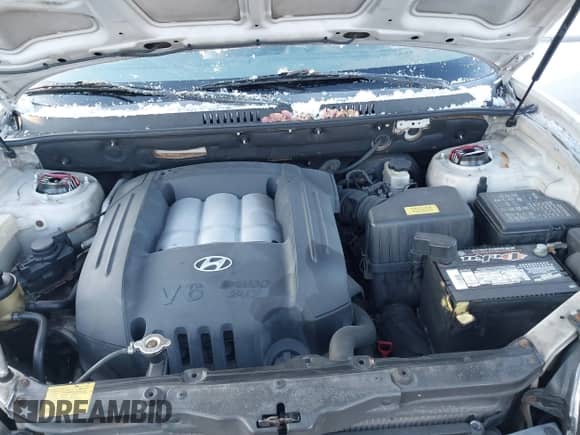 2003 Hyundai Santa Fe GLS с VIN KM8SC73D73U518784, выставлен на аукционе IAAI как лот 41348907 с пробегом 127 980 миль миль и . История ставок и продаж доступна на DreamBid. Изображение 10.