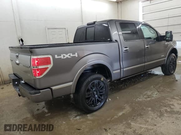 ✅ 2014 Ford F-150 Platinum • VIN: 1FTFW1ET5EFA49121 • Lot: 91666155. Listed on Copart with 161,606 mi. Free auction sales archive from the USA and detailed vehicle history report at DreamBid. Image 3.