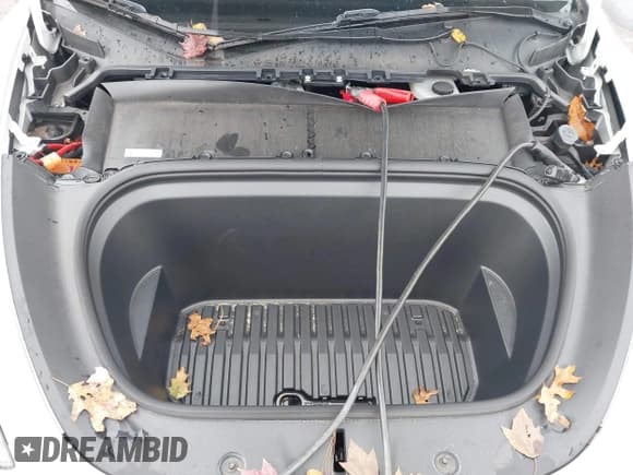 ✅ 2024 Tesla Model Y Long Range • VIN: 7SAYGDEEXRA278932 • Lot: 43653178. Wystawiony na IAAI z przebiegiem 48 598 mil. Bezpłatny archiwum sprzedaży aukcyjnych z USA i szczegółowy raport historii pojazdu na DreamBid. Zdjęcie 10.