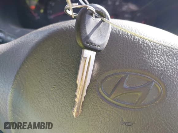 ✅ 2004 Hyundai Santa Fe GLS • VIN: KM8SC73D84U841923 • Lot: 42182384. Listed on IAAI with 121,287 mi. Free auction sales archive from the USA and detailed vehicle history report at DreamBid. Image 11.