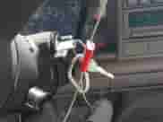 ✅ 1994 Chevrolet Silverado 2500 • VIN: 1GCFC24KXRE116072 • Lot: 42109439. Wystawiony na IAAI z przebiegiem 212 142 mil. Bezpłatny archiwum sprzedaży aukcyjnych z USA i szczegółowy raport historii pojazdu na DreamBid. Zdjęcie 11.