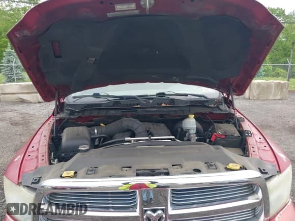 ✅ 2010 Dodge 1500 TRX • VIN: 1D7RV1GT4AS133726 • Lot: 42279403. Wystawiony na IAAI z przebiegiem 163 870 mil. Bezpłatny archiwum sprzedaży aukcyjnych z USA i szczegółowy raport historii pojazdu na DreamBid. Zdjęcie 10.