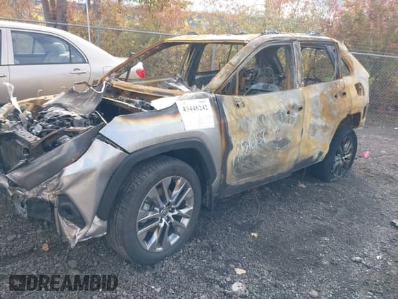 ✅ 2024 Toyota RAV4 XLE Premium • VIN: JTMA1RFV2RJ042850 • Lot: 43445242. Listed on IAAI with Not provided. Free auction sales archive from the USA and detailed vehicle history report at DreamBid. Image 2.