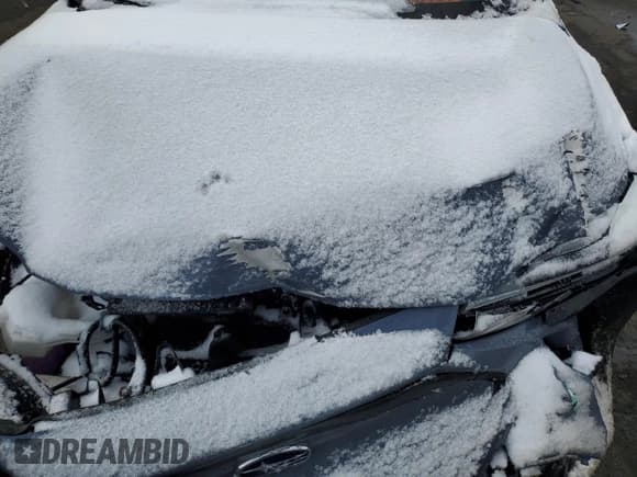 ✅ 2023 Subaru Solterra Premium • VIN: JTMABABA1PA031661 • Lot: 48266764. Wystawiony na Copart z przebiegiem Nie podano. Bezpłatny archiwum sprzedaży aukcyjnych z USA i szczegółowy raport historii pojazdu na DreamBid. Zdjęcie 11.