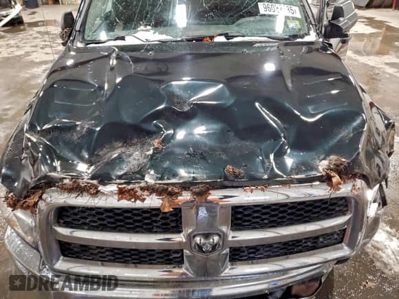 ✅ 2016 Ram 2500 Tradesman • VIN: 3C6UR5CL8GG375464 • Лот: 96037285. Опубликован ранее на Copart с пробегом 91 787 миль. Бесплатный доступ к архиву аукционных продаж из США и подробный отчёт об истории автомобиля на DreamBid. Изображение 11.