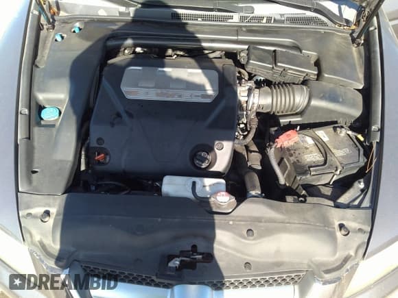 ✅ 2008 Acura TL • VIN: 19UUA66258A016552 • Лот: 42487070. Опубликован ранее на IAAI с пробегом Не указан. Бесплатный доступ к архиву аукционных продаж из США и подробный отчёт об истории автомобиля на DreamBid. Изображение 10.