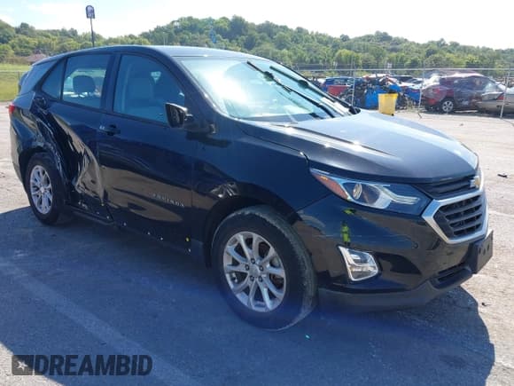 ✅ 2018 Chevrolet Equinox LS • VIN: 3GNAXHEV4JL347605 • Lot: 43313680. Listed on IAAI with 94,047 mi. Free auction sales archive from the USA and detailed vehicle history report at DreamBid. Image 1.