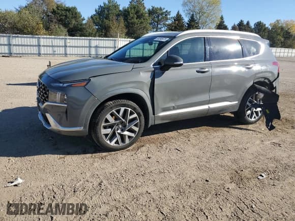 ✅ 2022 Hyundai Santa Fe Calligraphy • VIN: 5NMS5DAL5NH389218 • Lot: 90095975. Listed on Copart with 90,494 mi. Free auction sales archive from the USA and detailed vehicle history report at DreamBid. Image 1.