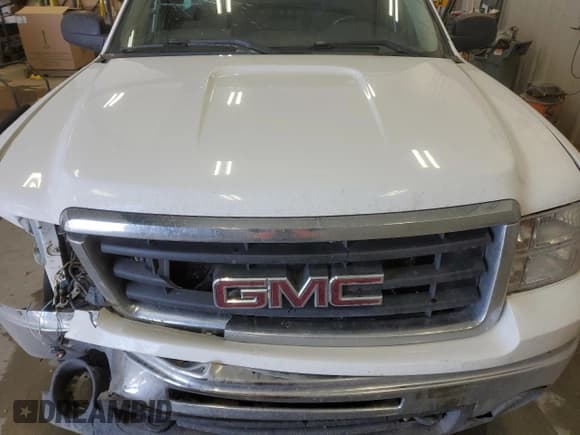 ✅ 2009 GMC Sierra 1500 • VIN: 1GTEK24C49Z239804 • Lot: 41466735. Wystawiony na Copart z przebiegiem 175 019 mil. Bezpłatny archiwum sprzedaży aukcyjnych z USA i szczegółowy raport historii pojazdu na DreamBid. Zdjęcie 11.