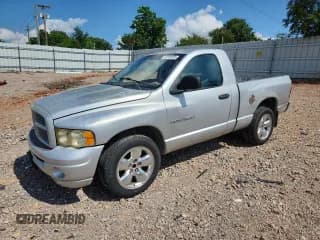 ✅ 2002 Dodge 1500 • VIN: 1D7HA16K32J240256 • Лот: 63806595. Опубликован ранее на Copart с пробегом 228 668 миль. Бесплатный доступ к архиву аукционных продаж из США и подробный отчёт об истории автомобиля на DreamBid. Изображение 1.