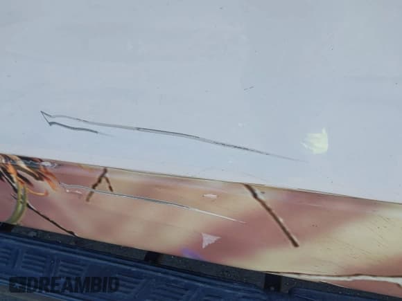 ✅ 2011 Ford F-150 XLT • VIN: 1FTFW1EF0BFB11059 • Lot: 43905361. Listed on IAAI with 290,277 mi. Free auction sales archive from the USA and detailed vehicle history report at DreamBid. Image 6.