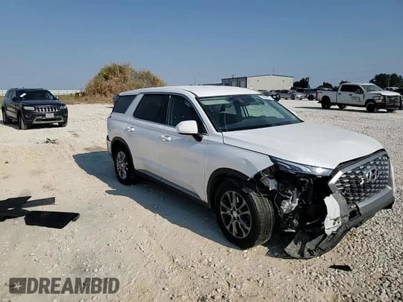 ✅ 2021 Hyundai Palisade SE • VIN: KM8R14HE3MU246532 • Лот: 75854294. Опубликован ранее на Copart с пробегом Не указан. Бесплатный доступ к архиву аукционных продаж из США и подробный отчёт об истории автомобиля на DreamBid. Изображение 11.