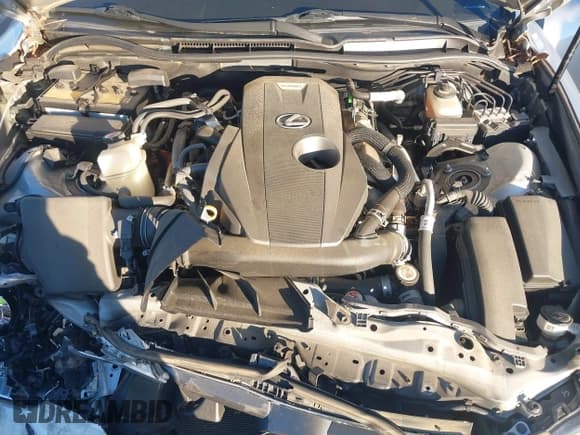 ✅ 2019 Lexus IS 300 F Sport • VIN: JTHBA1D20K5095655 • Lot: 43622357. Listed on IAAI with 54,264 mi. Free auction sales archive from the USA and detailed vehicle history report at DreamBid. Image 10.