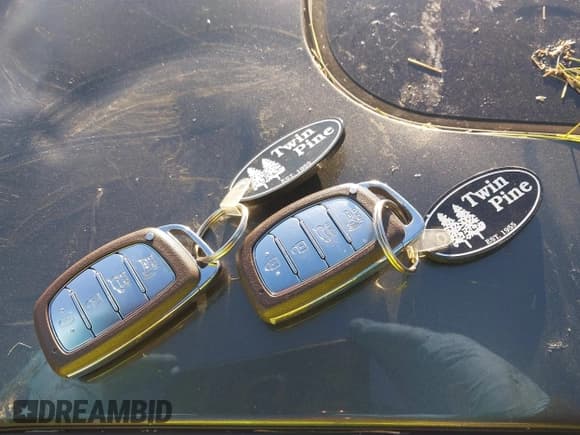 ✅ 2021 Hyundai Ioniq Limited • VIN: KMHC05LC7MU254282 • Lot: 43501749. Wystawiony na IAAI z przebiegiem 99 263 mil. Bezpłatny archiwum sprzedaży aukcyjnych z USA i szczegółowy raport historii pojazdu na DreamBid. Zdjęcie 11.