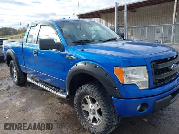 ✅ 2013 Ford F-150 XLT • VIN: 1FTFX1EF2DFD70202 • Лот: 43407018. Опубликован ранее на IAAI с пробегом 212 423 миль. Бесплатный доступ к архиву аукционных продаж из США и подробный отчёт об истории автомобиля на DreamBid. Изображение 1.
