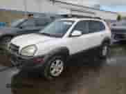 2007 Hyundai Tucson SE z VIN KM8JN72D27U569221, wystawiony jako Copart lot #74250944 z przebiegiem 195 097 mil mil oraz Szkoda całkowita • Salvage title. Historia ofert i sprzedaży dostępna na DreamBid. Obrazek 1.