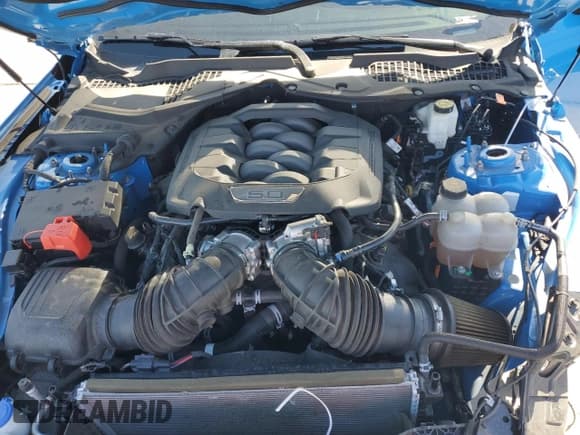 ✅ 2024 Ford Mustang GT • VIN: 1FA6P8CF7R5405461 • Лот: 84998035. Опубликован ранее на Copart с пробегом 29 781 миль. Бесплатный доступ к архиву аукционных продаж из США и подробный отчёт об истории автомобиля на DreamBid. Изображение 11.