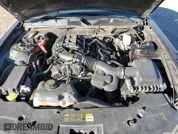 ✅ 2012 Ford Mustang Premium • VIN: 1ZVBP8AMXC5205544 • Lot: 91393035. Listed on Copart with 232,219 mi. Free auction sales archive from the USA and detailed vehicle history report at DreamBid. Image 11.