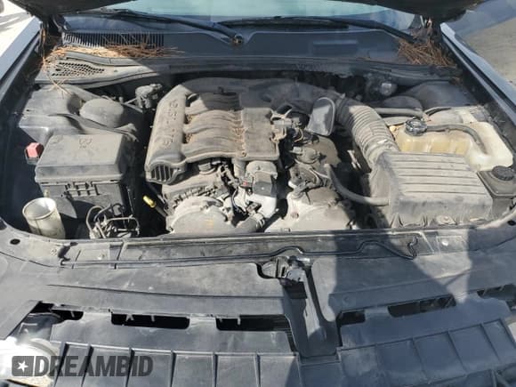 ✅ 2010 Dodge Challenger SE • VIN: 2B3CJ4DV1AH141097 • Лот: 67885604. Опубликован ранее на Copart с пробегом 197 501 миль. Бесплатный доступ к архиву аукционных продаж из США и подробный отчёт об истории автомобиля на DreamBid. Изображение 11.