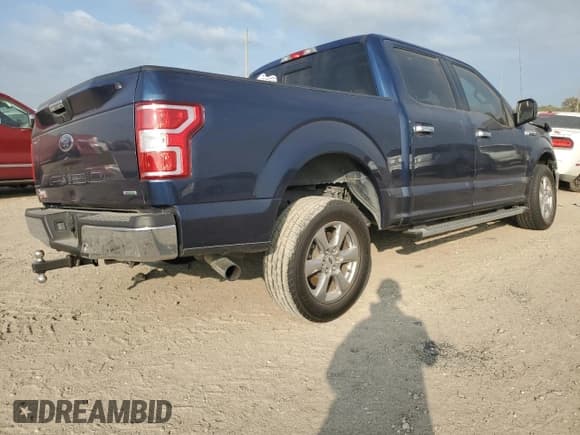 ✅ 2019 Ford F-150 XL • VIN: 1FTEW1CP0KKC97443 • Lot: 89539135. Wystawiony na Copart z przebiegiem 54 243 mil. Bezpłatny archiwum sprzedaży aukcyjnych z USA i szczegółowy raport historii pojazdu na DreamBid. Zdjęcie 3.